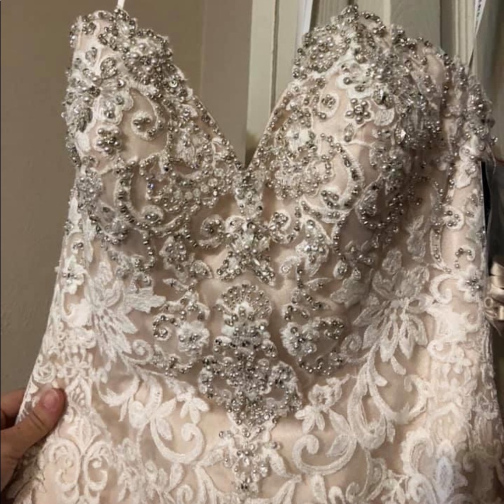 Mermaid Lace Wedding Gown